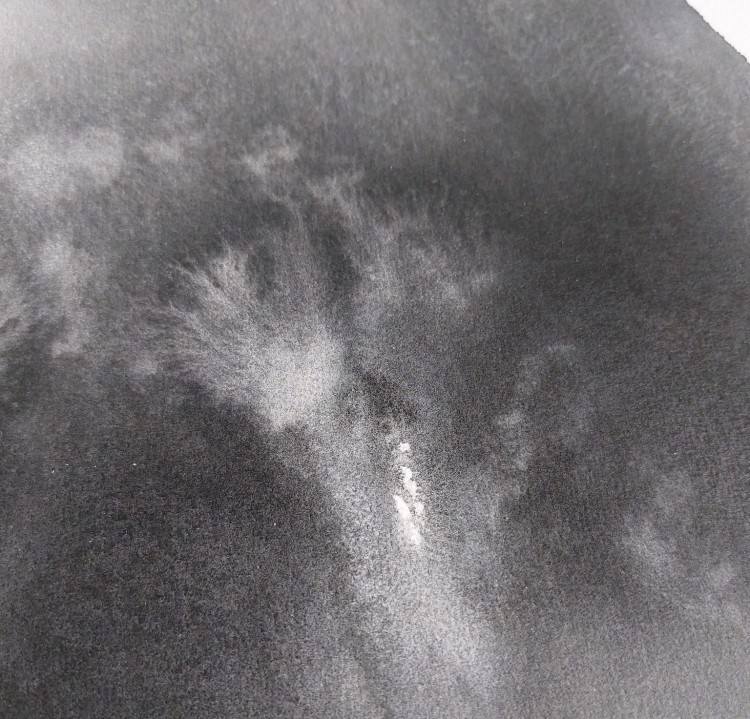 20240203_112711.jpg