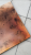 IMG_3669.PNG
